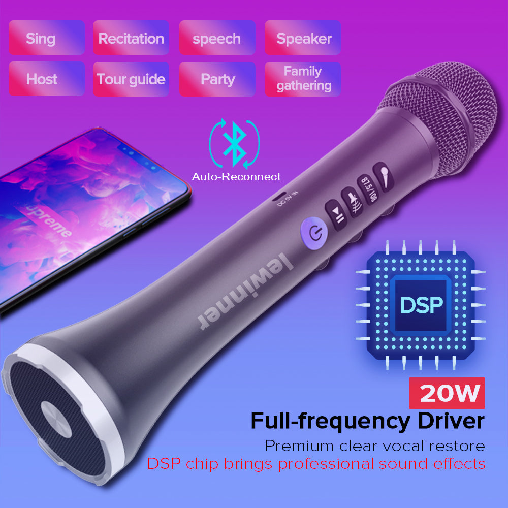 Lewinner L-698D Karaoke  microphone