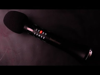 Lewinner L-699  Karaoke Microphone